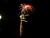 Silvestr 07 049